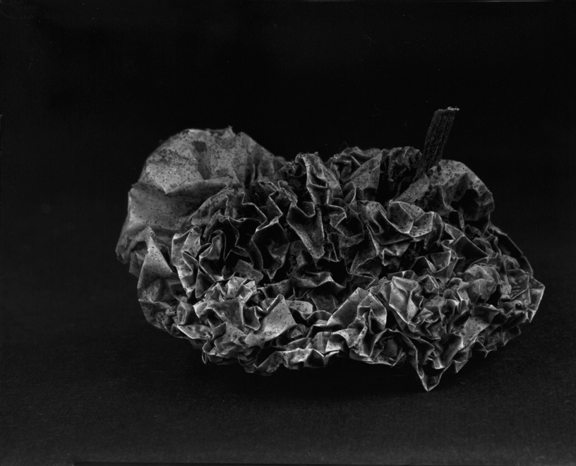 储楚 《物非物——果实》  Chu Chu Material/Immaterial - Fruit  2010