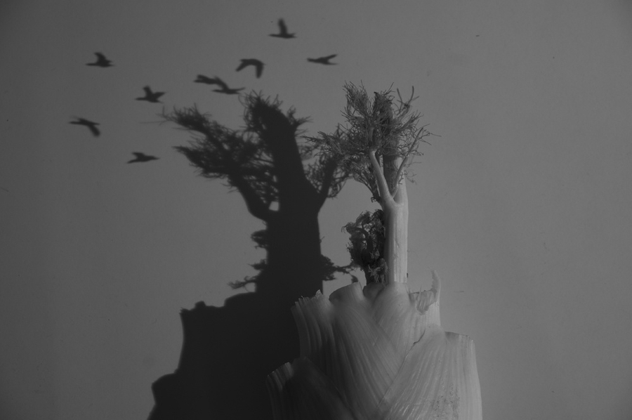 连芷平 《月亮的经文系列》  Lian Zhiping Classics of the Moon  2010