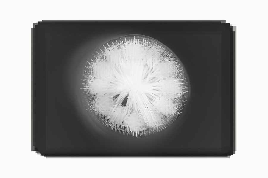 刘书彤《办公室钟表的9：00—5：00的一天》  Liu Shutong One Day from 9:00 to 5:00 on My Office Clock  2017-now