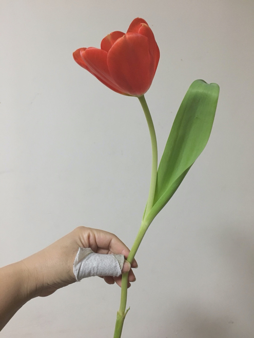 张树楠 Zhang Shunan