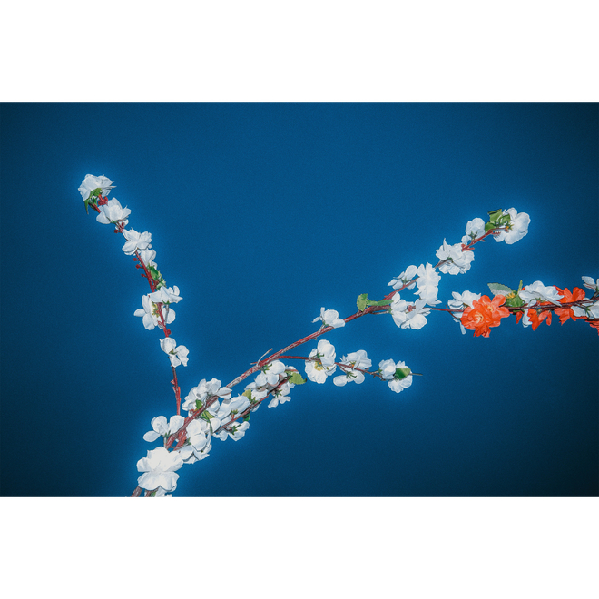 Huang Shuping  黄舒萍