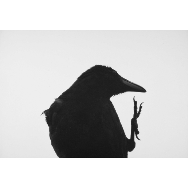 Golden Age: Five Masters of Japanese Photography (Xiamen)