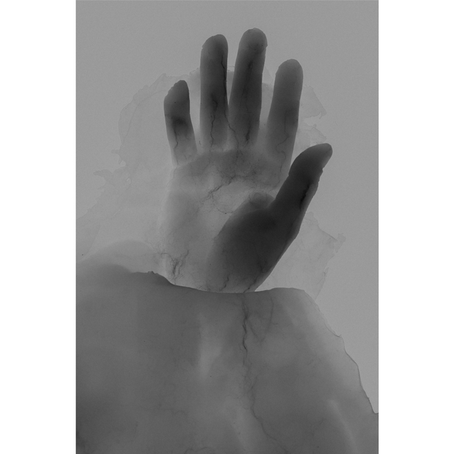 Chen Lan Solo Exhibition - Rousing from the Tender Light