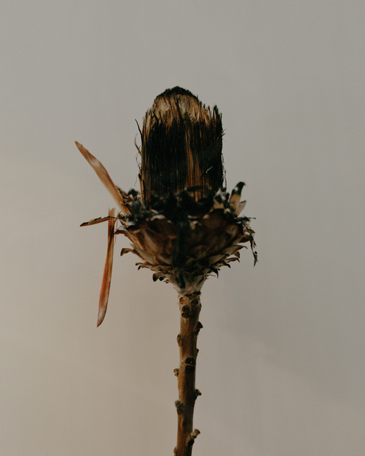 Yiran Rachel Wang Solo Exhibition —— Below 50 Hertz