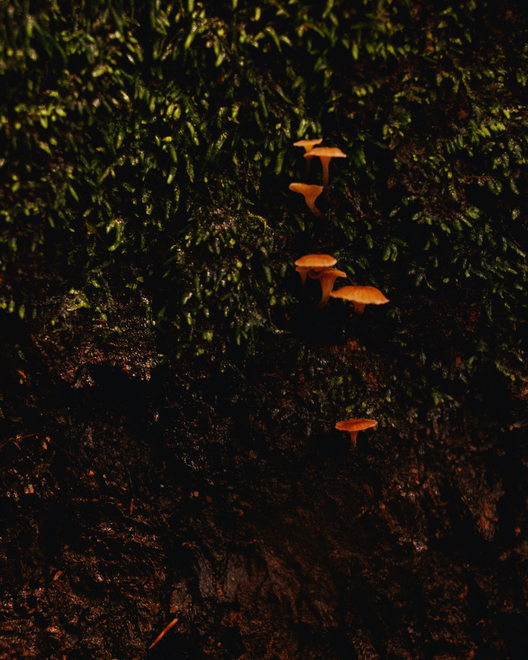 Yiran Rachel Wang Solo Exhibition —— Below 50 Hertz