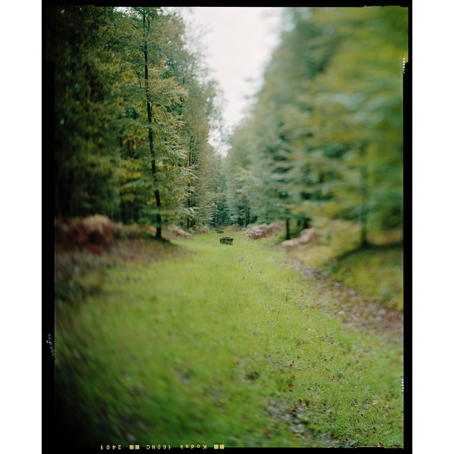 Sabine Delcour, Constructed and gazed