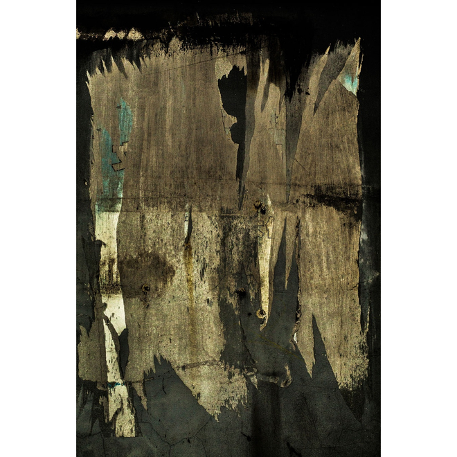 Zhang Shuguang Solo Exhibition —— Appearance and Ecstasy