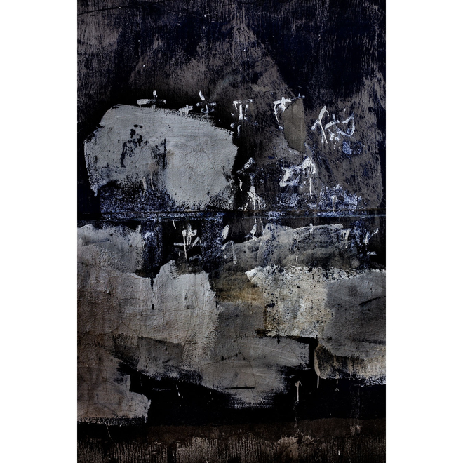 Zhang Shuguang Solo Exhibition —— Appearance and Ecstasy