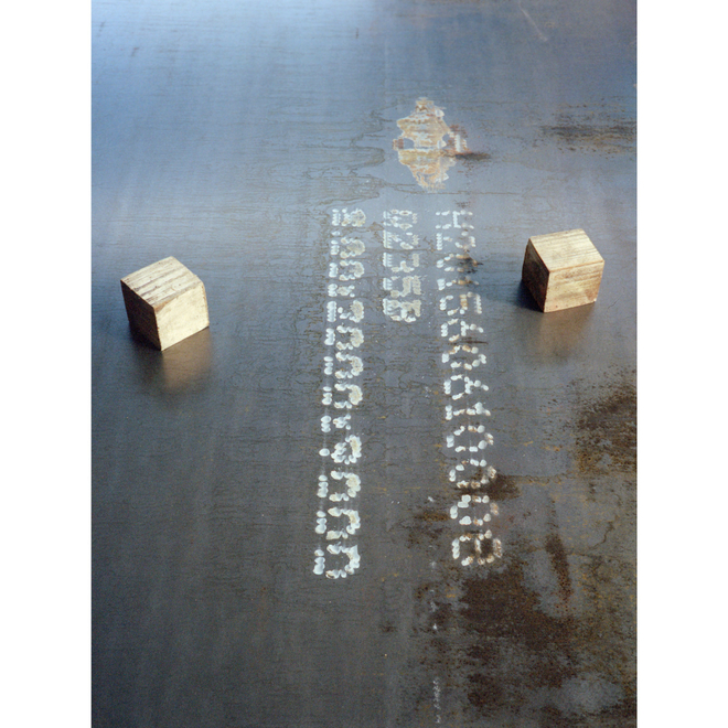 Ruotong Guan Solo Exhibition —— Nectarine Blossom & Honey