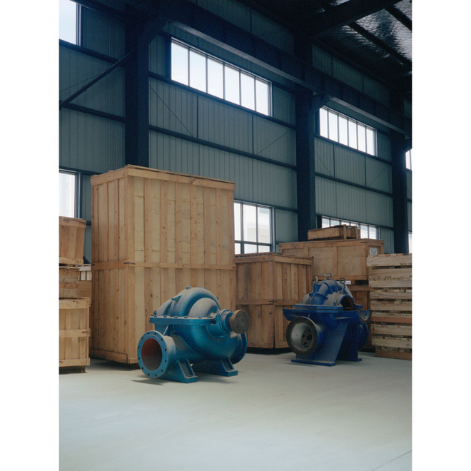 Ruotong Guan Solo Exhibition —— Nectarine Blossom & Honey