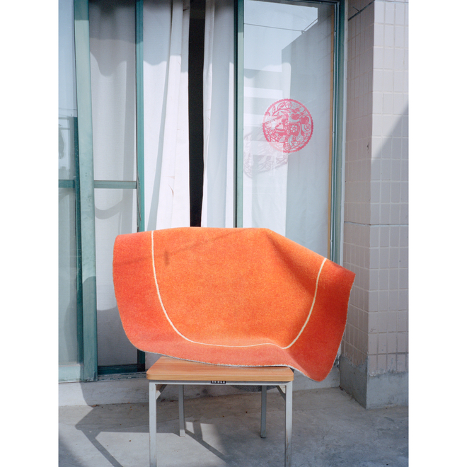 Ruotong Guan Solo Exhibition —— Nectarine Blossom & Honey