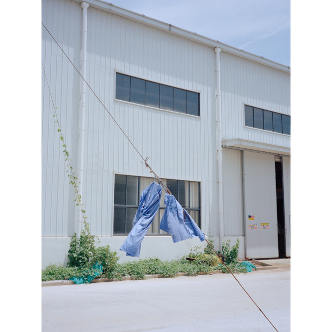 Ruotong Guan Solo Exhibition —— Nectarine Blossom & Honey