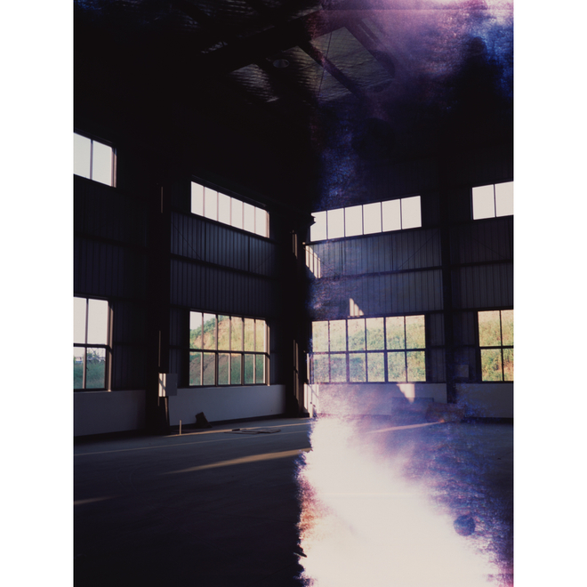 Ruotong Guan Solo Exhibition —— Nectarine Blossom & Honey