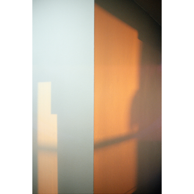 Ruotong Guan Solo Exhibition —— Nectarine Blossom & Honey