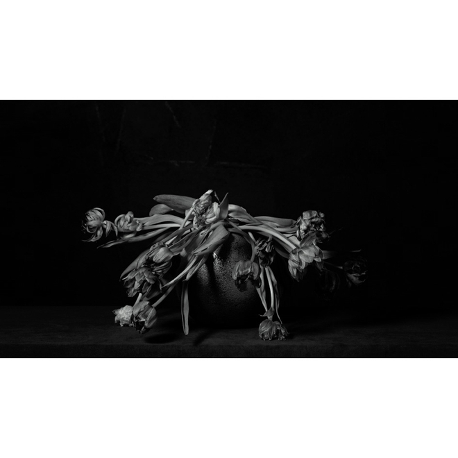 《生活——献给母亲》，定格影像，欧文·奥拉夫，2018  Life - For Mom, Stop-motion, Erwin Olaf, 2018