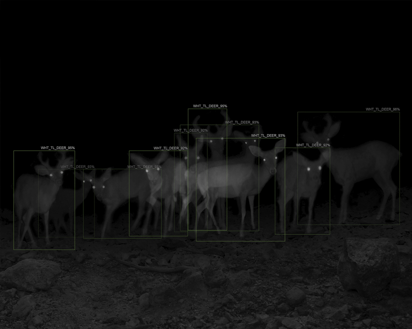 盲河，2018-2021，亚历克斯·特纳  ©亚历克斯·特纳