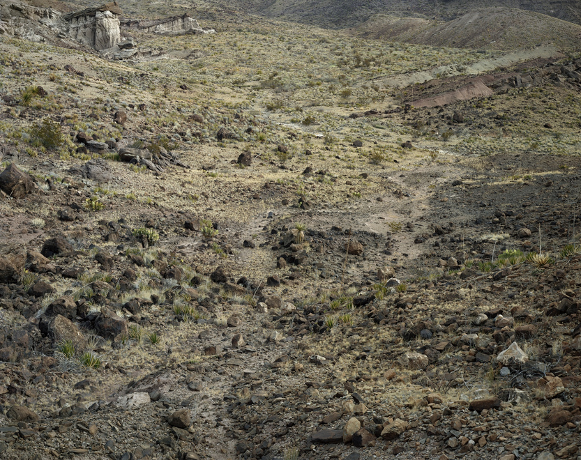 The Enduring Present : A Retrospective of Stephen Shore