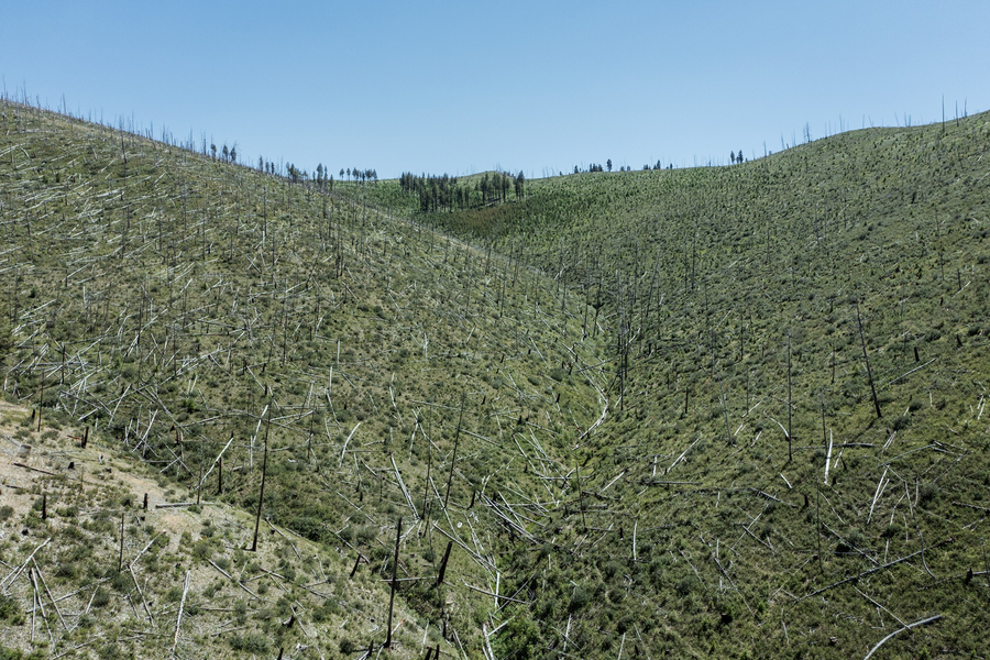 The Enduring Present : A Retrospective of Stephen Shore