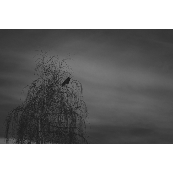 选自《如流水一样》系列 ©邹拥军  Selected from Like Running Water series ©Zou Yongjun