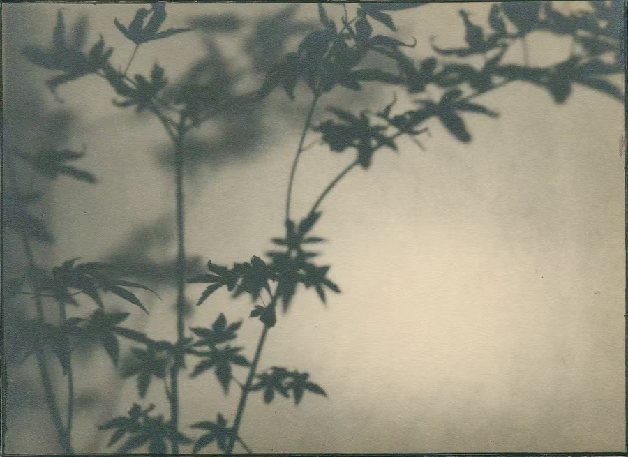 骆伯年，《无题》，1930-1940年，明胶卤化银，40.7 x 27.3 厘米。图片鸣谢骆伯年艺术基金会和三影堂+3画廊  Luo Bonian, Untitled, 1930s-1940s. Gelatin Silver, 40.7 x 27.3 cm. Image courtesy of the Luo Bonian Art Foundation and Three Shadows+3 Gallery.