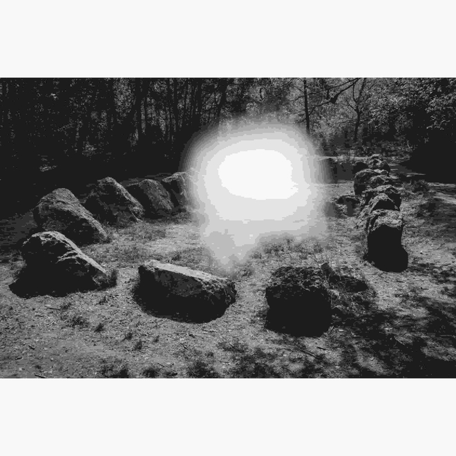 颜梦钰，《修士花园》 ，2023年。UV打印。  Meng-Yu Yan, Jardin aux Moines, 2023. UV print on vinyl.