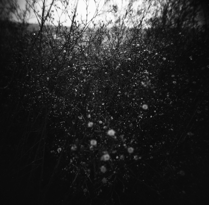 《里巷涂鸦》系列 Alley Scrawl Series 2009