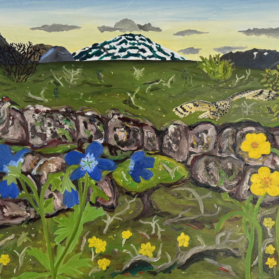 Steinn Logi Björnsson