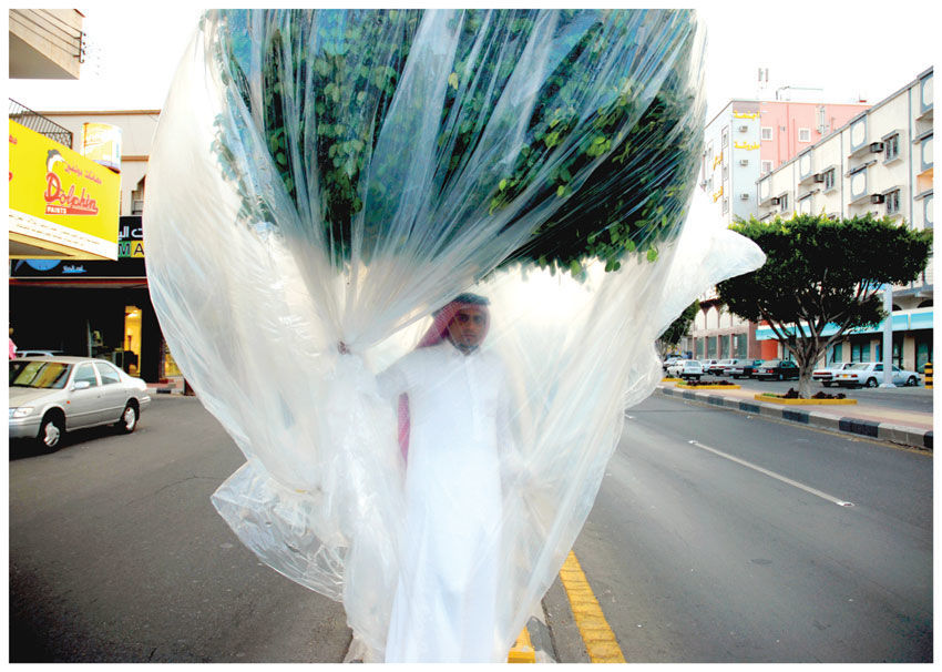 Flora & Fauna, 2013 Coriander Pigment Print on Photorag Paper with 4 Silkscreen Glazes 148 x 209 cm Edition of 8 + 4 AP