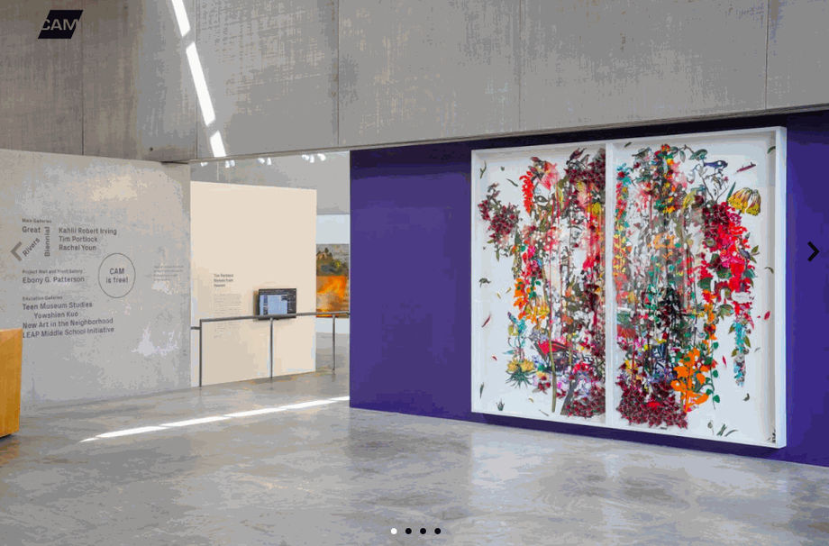 Solo show, …when the cuts erupt…the garden rings…and the warning is a wailing