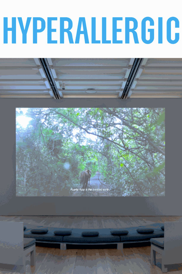 What Does a Post-Hurricane World Look Like?