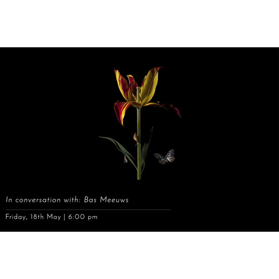 Gallery Walk-through with Bas Meeuws