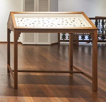 Nibha Sikander, Study, 2018