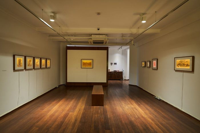 Install view, filed under: a/muse/um, 2020