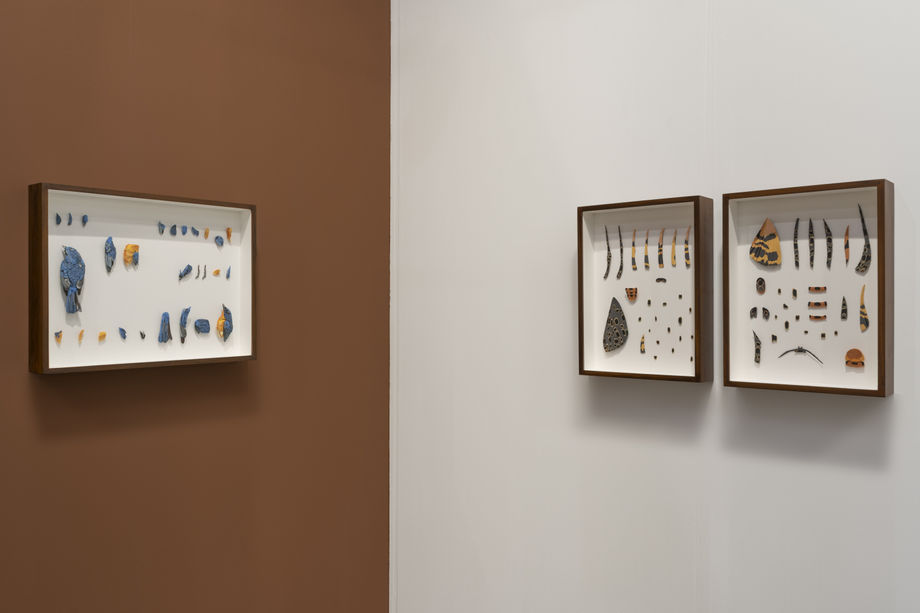 Anatomise by Nibha Sikander Booth 3D33 | Art Basel Hong Kong 2023