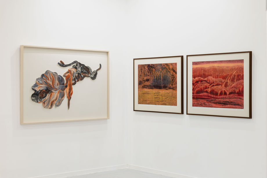 India Art Fair 2025: Grounded Ambition