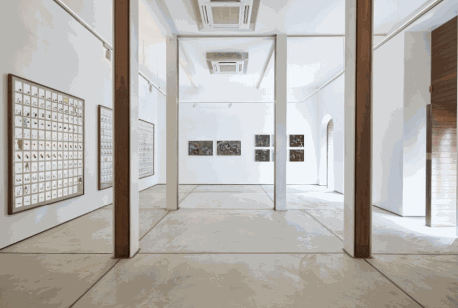 TARQ has a charming new home