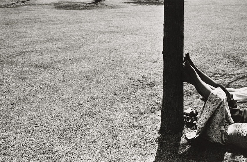 Paul Hill Legs against Tree, Ashbourne , 1976