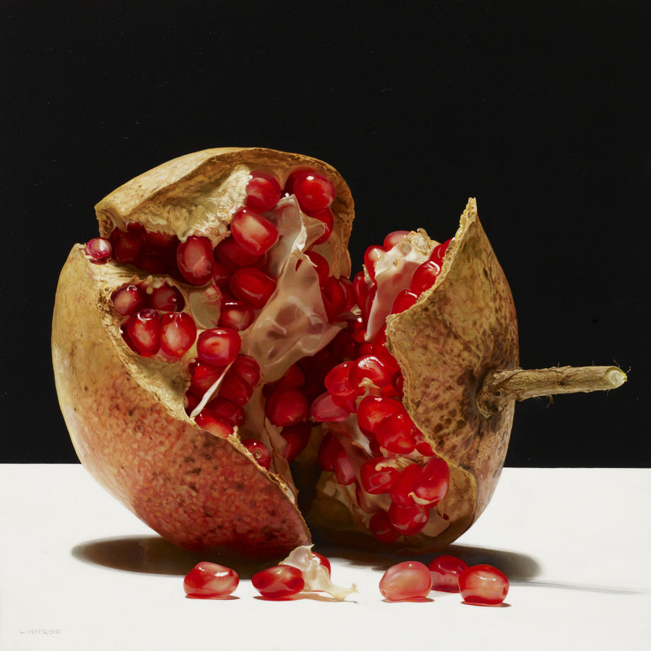 Luciano Ventrone, Succulent Mortality