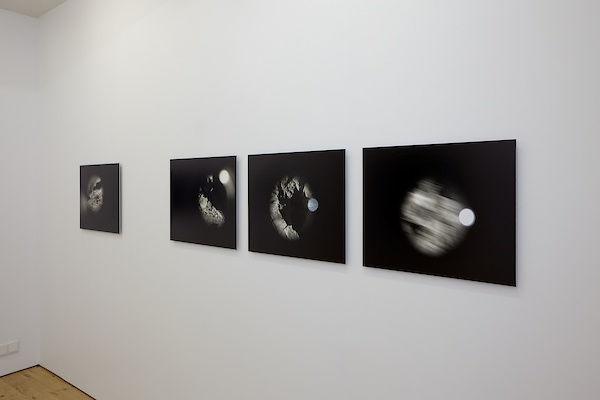 Therese Himmer, LEVANIA - Hverfisgallerí