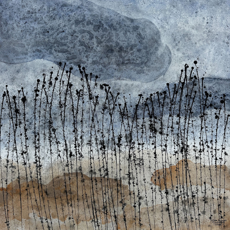 Jean-Francois Debongnie