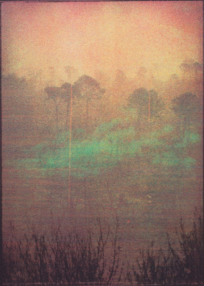 Hapax #53, 2024 (detail)