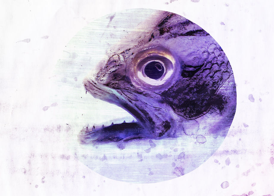 Art Dubai 2025, 18th Edition | Booth F6