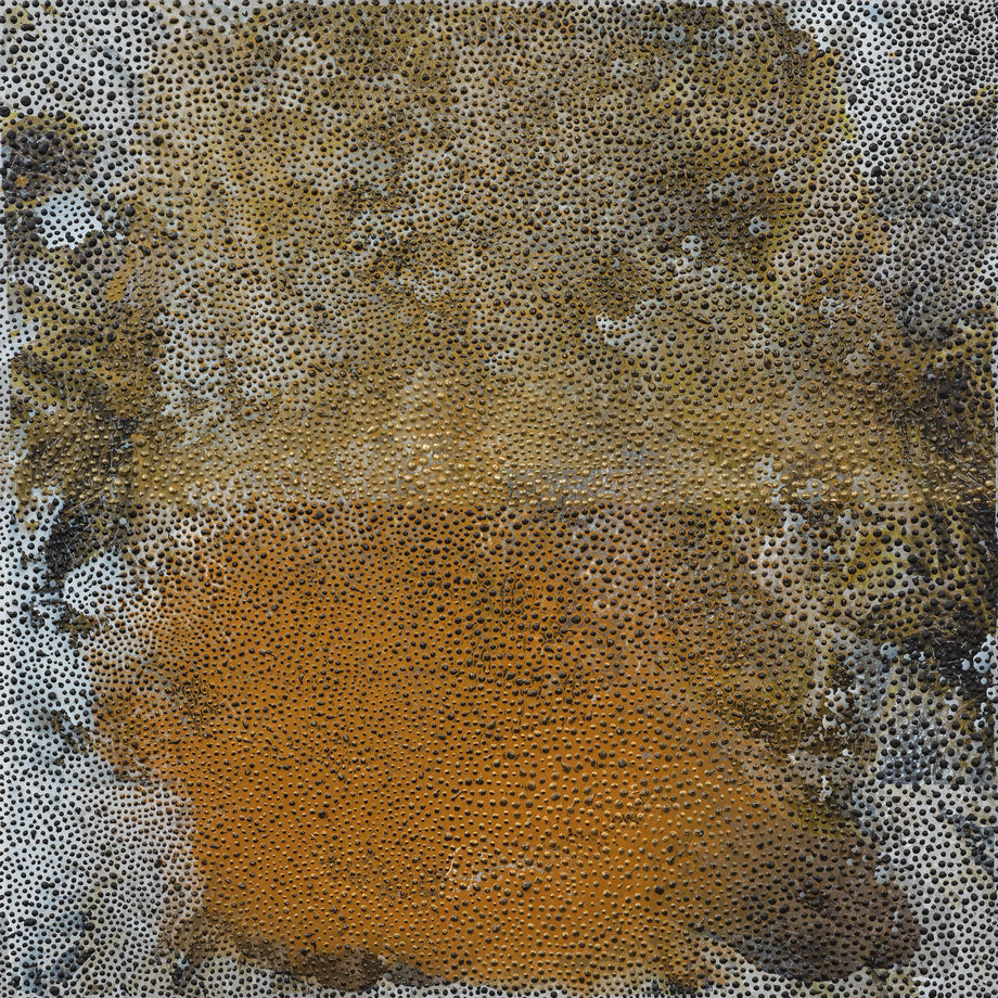 Peter Panyoczki, Narcissus Pond, 2021