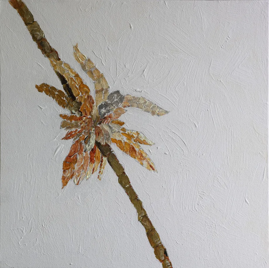 Impermanence, Nelun Harasgama & Preethi Hapuwatte