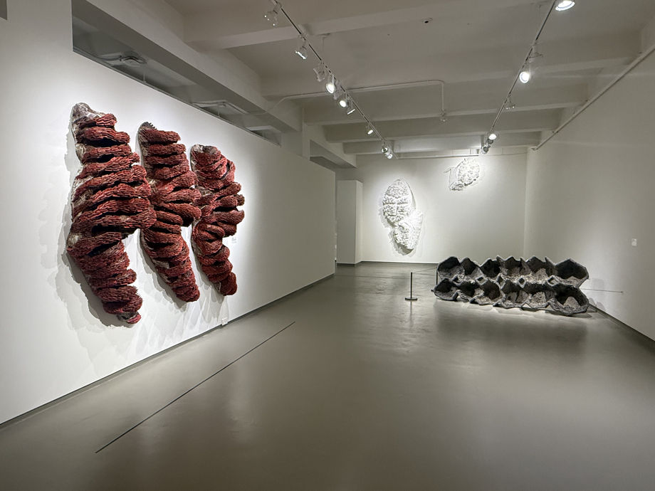 Whitney Oldenburg: Left Behind, Museum of Contemporary Art Jacksonville