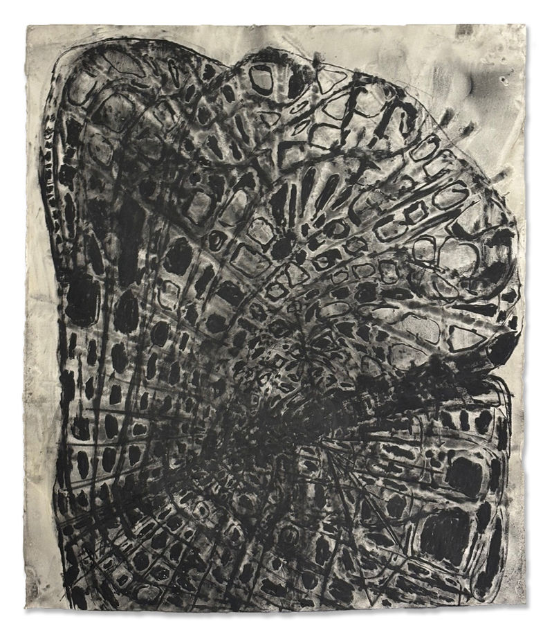 a little bit, 2026, charcoal on paper, 52 x 42 in