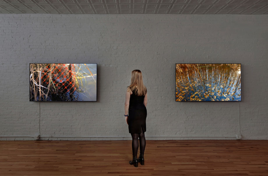 peter campus: meditations