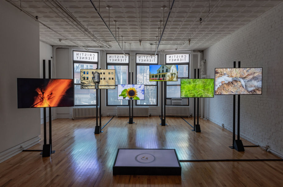 Mary Lucier: Leaving Earth, By Hearne Pardee, The Brooklyn Rail