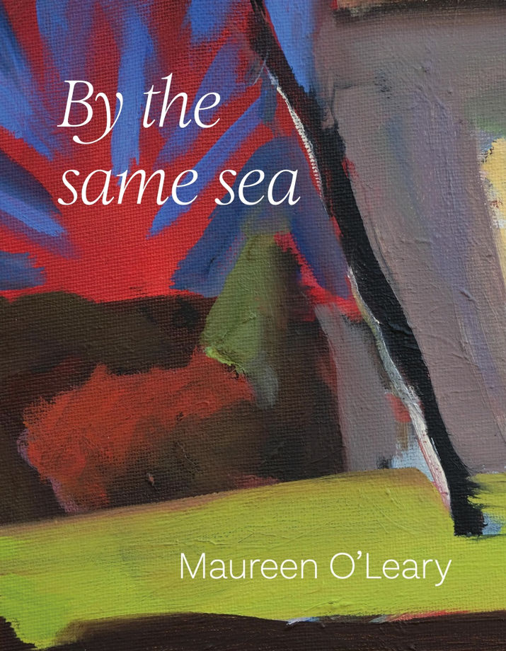 By The Same Sea, Homes of The Irish Diaspora