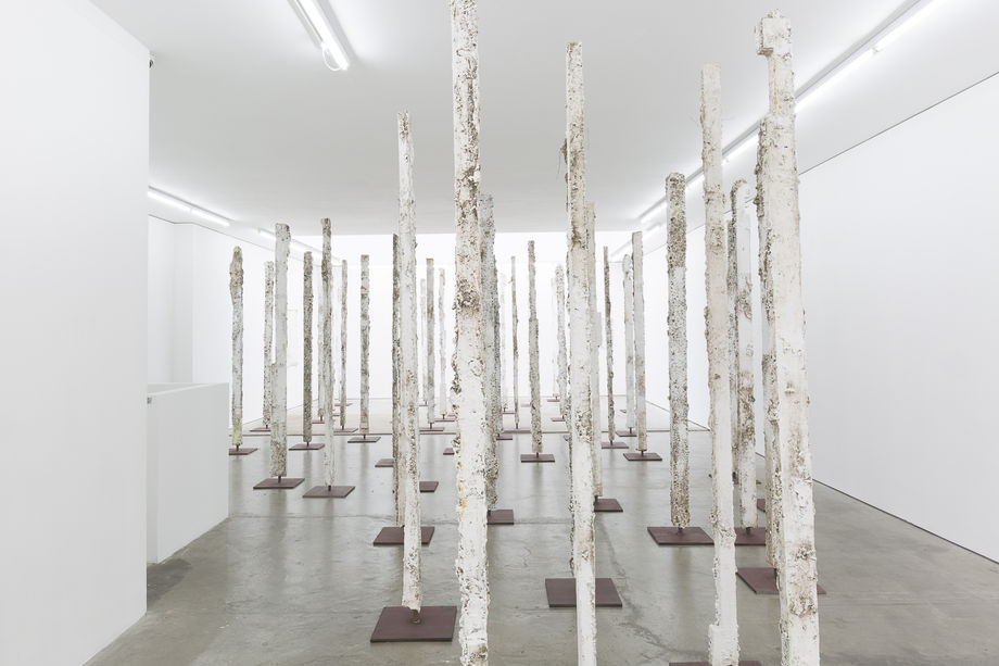 Jodie Carey: Earthcasts, Installation View, 2017. Edel Assanti.